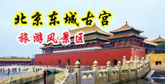 插插插欧美中国北京-东城古宫旅游风景区